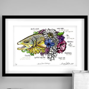 Archival Brown Trout Hatches Limited Edition Giclee Print 11x17