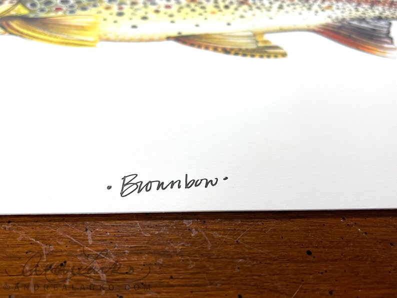 Archival Brownbow Trout Limited Edition Giclee Print 11x17 image 7