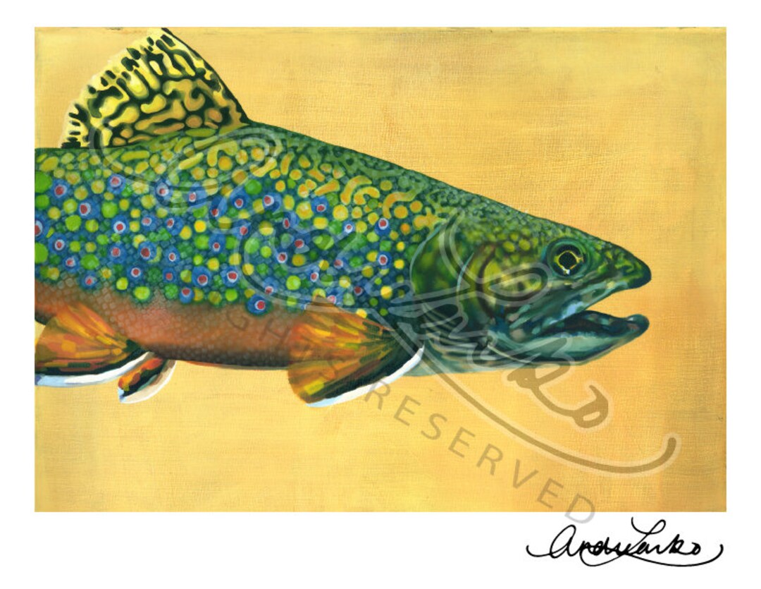 Oil Brook Trout Art Print 8.5x11 Etsy