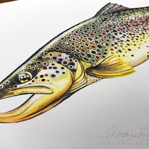 Archival Brownbow Trout Limited Edition Giclee Print 11x17 image 5