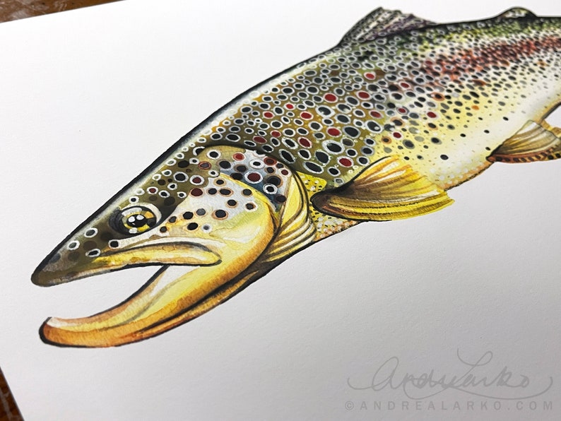 Archival Brownbow Trout Limited Edition Giclee Print 11x17 image 5