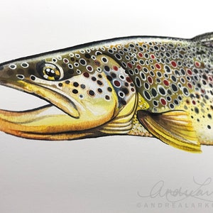 Archival Brownbow Trout Limited Edition Giclee Print 11x17 image 9