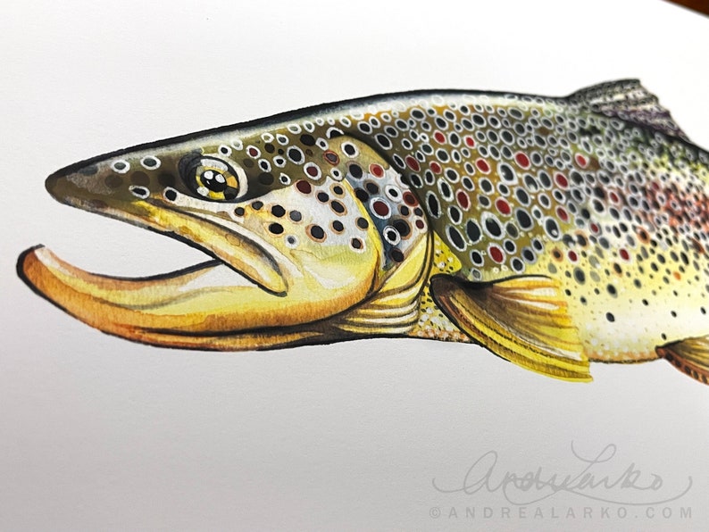 Archival Brownbow Trout Limited Edition Giclee Print 11x17 image 9