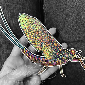 Mayfly Art 3M Laminated Vinyl Decal