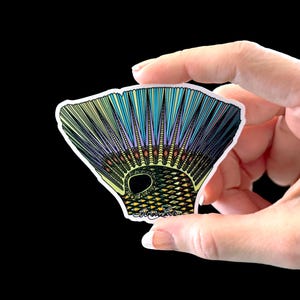 Redfish Tail Matte Vinyl Waterproof 3.5" Decal