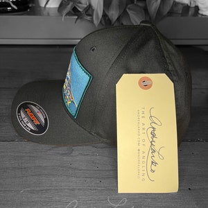 Limited Edition Embroidered Grayling Fin Patch Black Flexfit Hat image 4