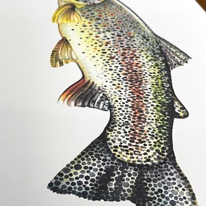 Archival Brownbow Trout Limited Edition Giclee Print 11x17 image 3