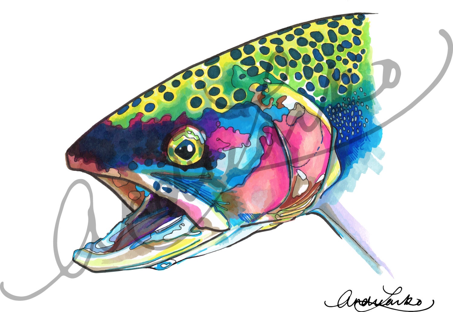 Marker Rainbow Trout Fish Art Print 8.5x11 