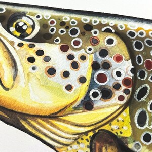 Archival Brownbow Trout Limited Edition Giclee Print 11x17 image 4