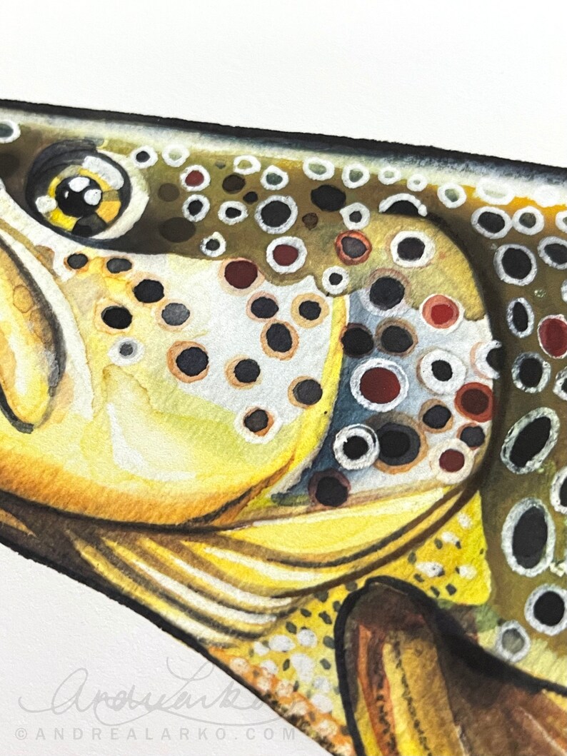 Archival Brownbow Trout Limited Edition Giclee Print 11x17 image 4