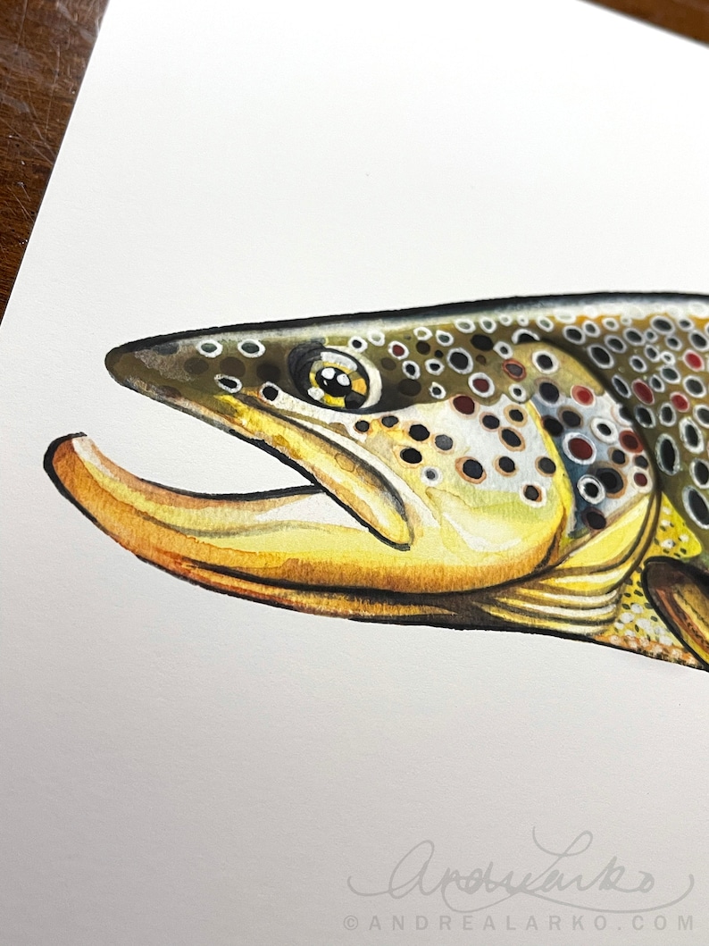 Archival Brownbow Trout Limited Edition Giclee Print 11x17 image 2