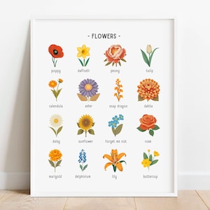 Flower Print, Botanical Poster, Educational Poster, Nature Homeschool Printable, Classroom Decor, Floral Nursery Prints, DIGITAL DOWNLOAD
