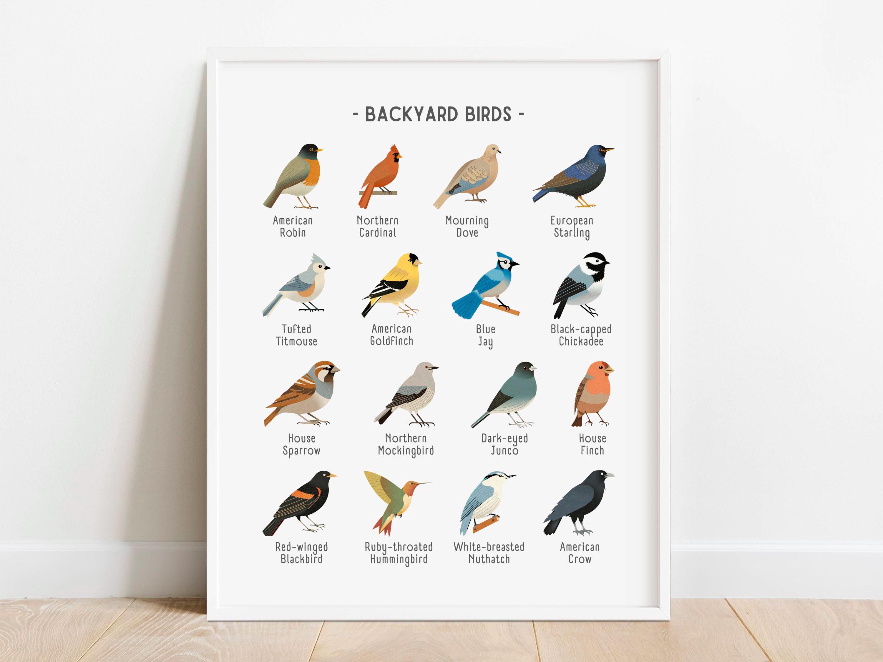 Backyard Birds Print, Bird Poster, Educational Wall Art, Nature