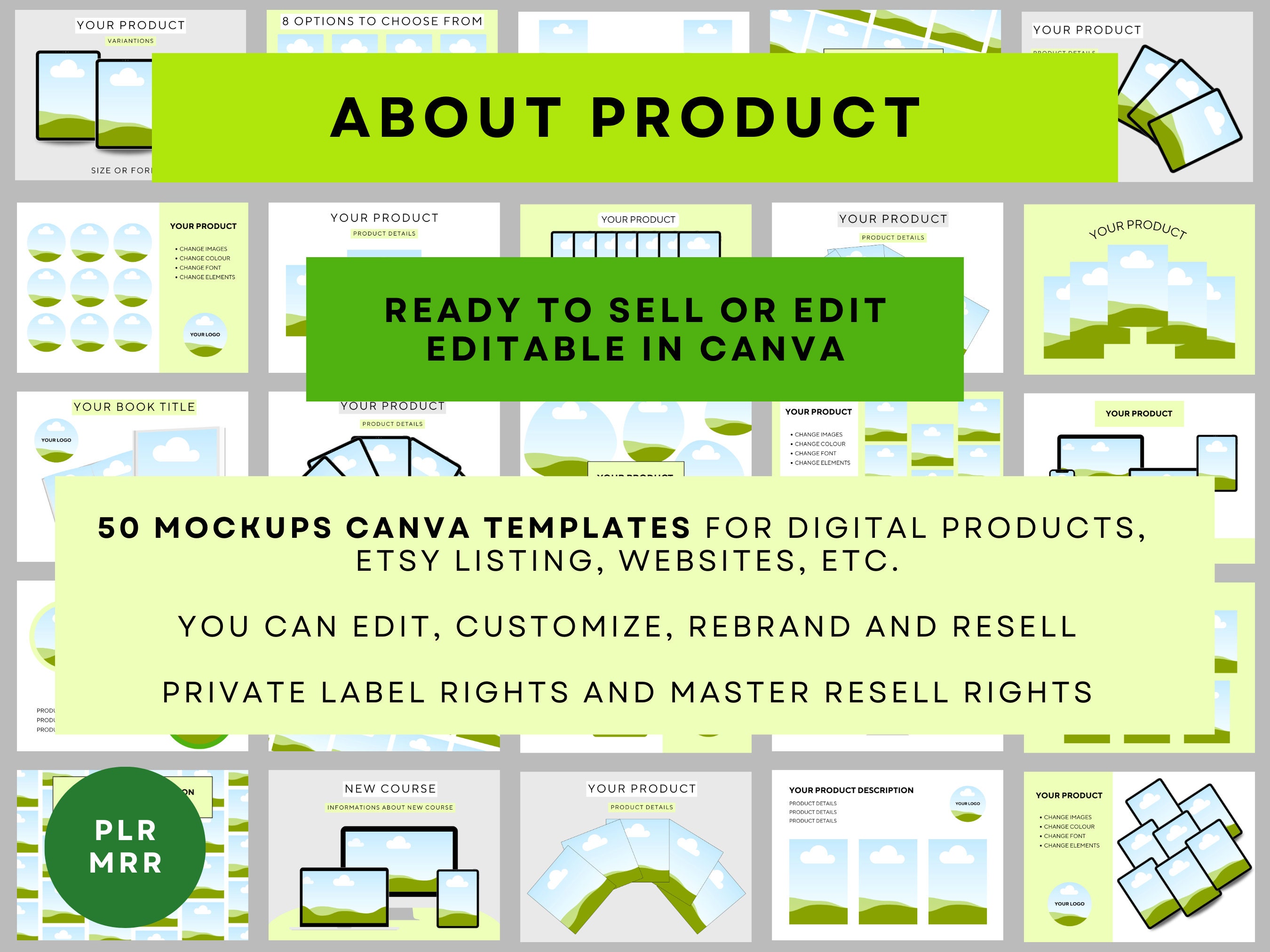 Mockups for Digital Products With PLR and MRR Master Resell Rights ...
