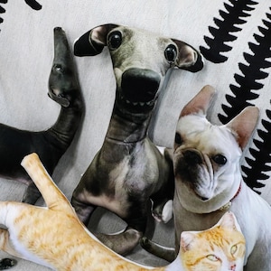 ugly pet pillow, ugly cat pillow, Ugly Dog Pilow, pet pillow, 3D shape pilow, personalized ugly pet pillow, pet lover gift, Halloween gift