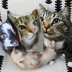 Ugly Pet Pillows,ugly cat pillowugly pillow,Custom Pet 3D Shape Pillow,Personalized ugly pet pillow,pet lover gift,dog pillow,Christmas gift
