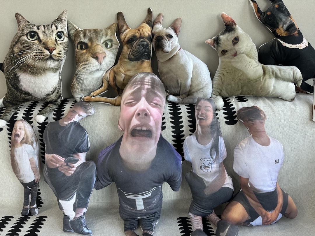 ugly pillow, custom ugly pillow for friend or pet, Hot Ugly Cat, pet pillow, gift for frie