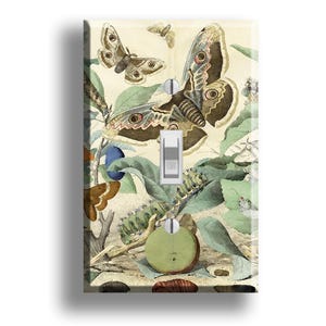 Victorian Entomology Nature Decor Art Light Switch Plate Cover Decor