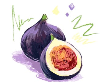 Fig Fruit Cross Stitch Pattern: Pillow Design (Digital PDF Pattern)