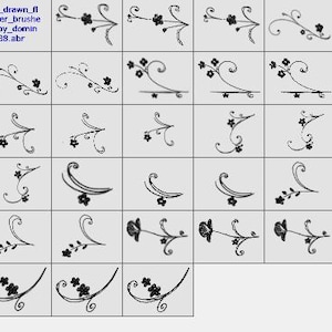 Set of 27 Photoshop Stamp Brushes, Brushes for Drawing Branches, Flowers and Swirls, Set of Photoshop Floral Brushes, Brushes  Flowers