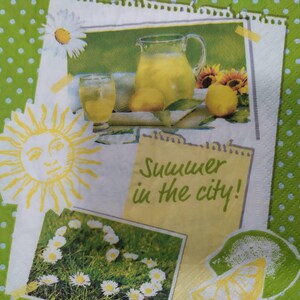 Tovaglioli di carta per decoupage, Tovaglioli con cibo, Tovaglioli per l'estate, Carta per scrapbooking, Cibo per decoupage, Tovaglioli all'ingrosso e in set