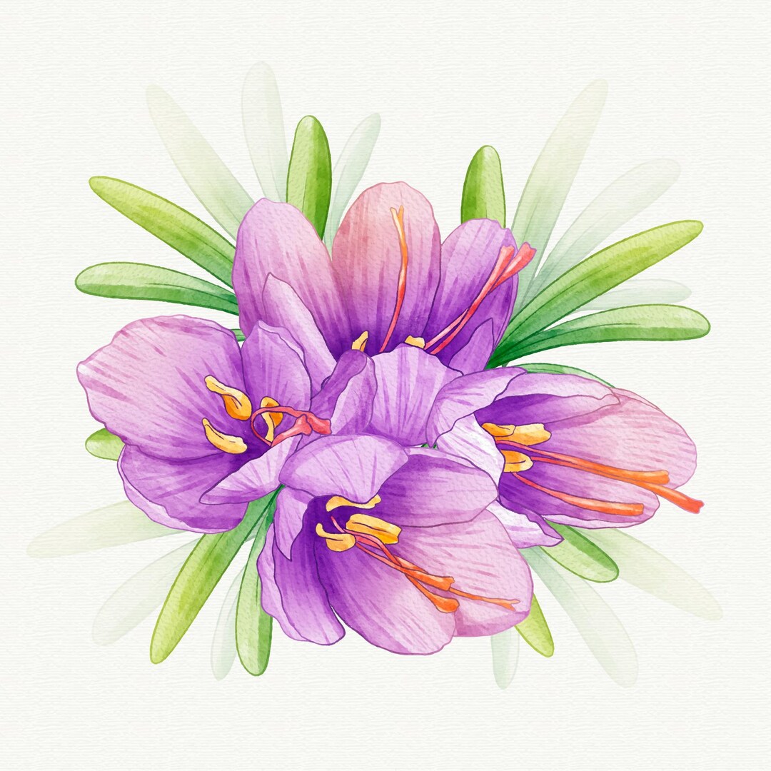 Crocus Flower Cross Stitch Pattern: Pillow Design (digital PDF Chart ...