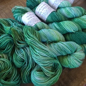 Wooded Retreat - DK & light worsted weight - Hand Dyed Yarn - Superwash Merino Wool/Nylon