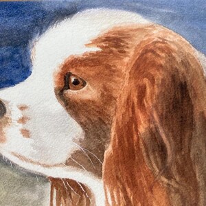 Aquarelle peinte à la main carte de voeux épagneul king Charles, encouragement, juste parce que, merci, carte de visite vierge, chien, chiot