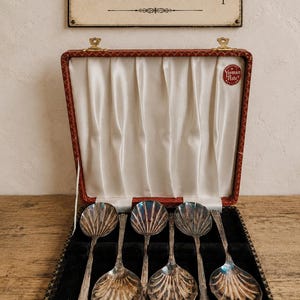 Set of Six Vintage Silver-Plated Shell Preserve Spoons with Elegant Handles in Original Presentation Case