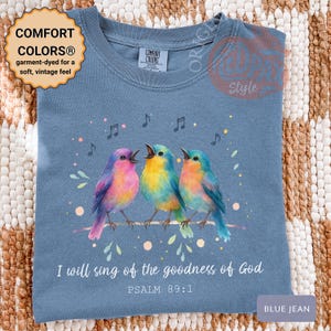 Camiseta del Salmo 89:1 / Cantaré la bondad de Dios / Camiseta cristiana con pájaros en acuarela / Camiseta de fe con colores reconfortantes / Regalo bíblico