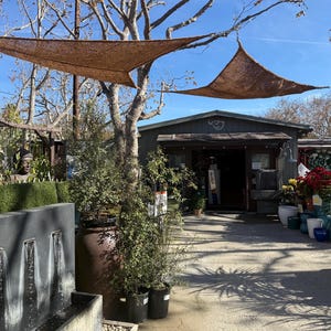 Triangle Coconut Shade Canopy - 12ft x 12ft  x 12ft