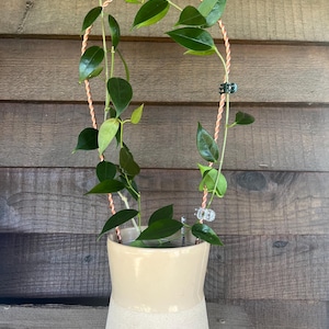 15 inch Twisted Copper Arch Trellis- Hoya Trellis