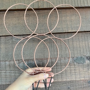 Twisted Copper 2 Tier Hoop Trellis- Set of 3- Hoya Trellis- Small Plant Trellis- Support