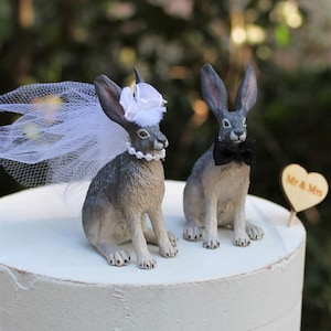 Rabbit-Hare-Wedding-Cake Topper-Animal-Unique-Bride-Groom-Funny-Bunny
