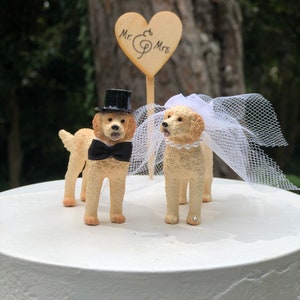Goldendoodle-hond-bruidegom-huisdier