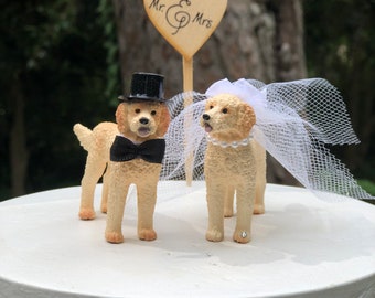 Goldendoodle-Dog-Bride-Groom-Pet