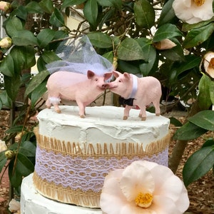 Cake Topper, Schweinchen Torten topper, Braut und Bräutigam Torten topper, Scheunen Hochzeit Torten topper
