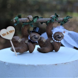 Sloth-bear-bride-groom-animal-rainforest-brown-wildlife-unique-funny-tree image 8