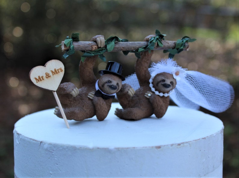 Sloth-bear-bride-groom-animal-rainforest-brown-wildlife-unique-funny-tree image 8