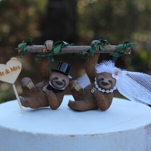 Sloth-bear-bride-groom-animal-rainforest-brown-wildlife-unique-funny-tree image 7