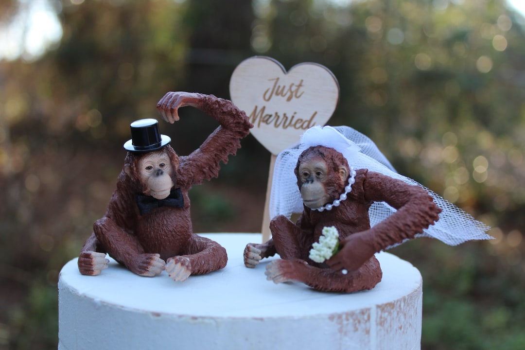 UNITED ARROWS★UA MONKEY ♡wedding ♡ Orangutan-wedding-ape-bride-groom-monkey-wildlife-funny
