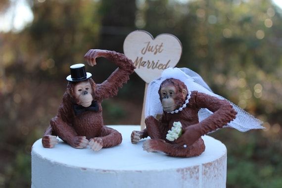 Orangutan-wedding-ape-bride-groom-monkey-wildlife-funny