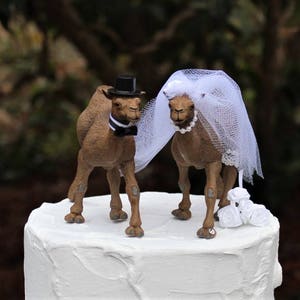Topper per torta con cammello, matrimonio-animale-sposa-sposo-deserto-unico-divertente-cammello-