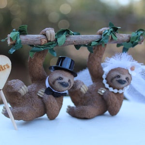 Sloth-bear-bride-groom-animal-rainforest-brown-wildlife-unique-funny-tree image 4