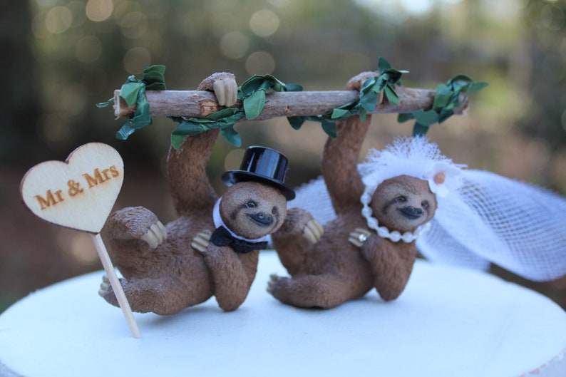 Sloth-bear-bride-groom-animal-rainforest-brown-wildlife-unique-funny-tree image 4