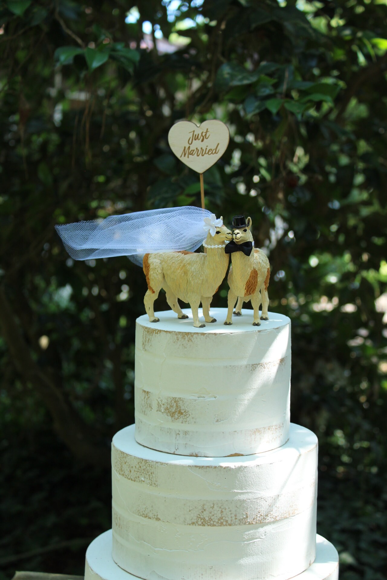 Adorno para tarta de llama, diseño divertido de animales de granja para  bodas, novios y novias, único y recién casados. - Etsy México, image size:1280x1920