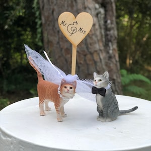 Cat-wedding-pet-animal-bride-groom