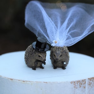 Riccio-Sposa-Sposo-Unico-Matrimonio-Animale-Bosco-Fauna Selvatica-