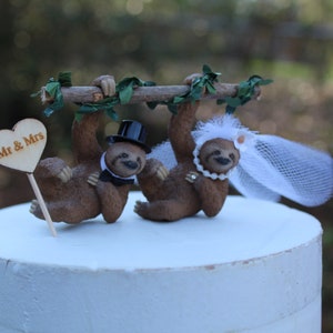 Sloth-bear-bride-groom-animal-rainforest-brown-wildlife-unique-funny-tree image 3