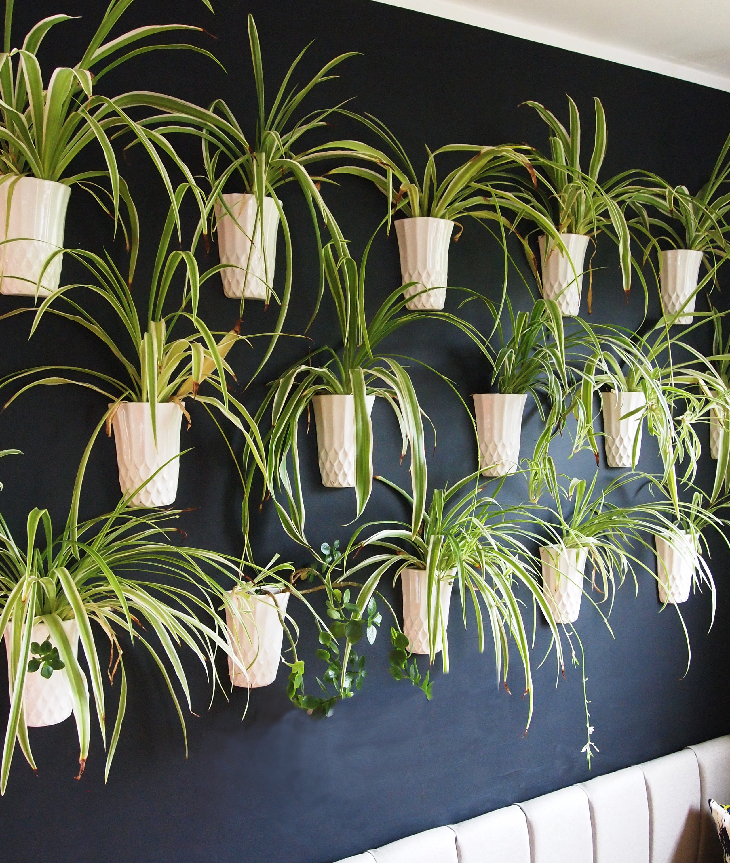 Wall Flower Vase, Wall Mounted Vase, Flowers on the Wall, Hanging